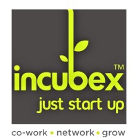 Project Manager – Incubex
