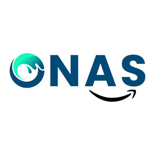 Onas Consluting Services