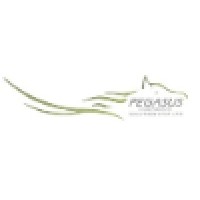 Pegasus Corporate Solutions