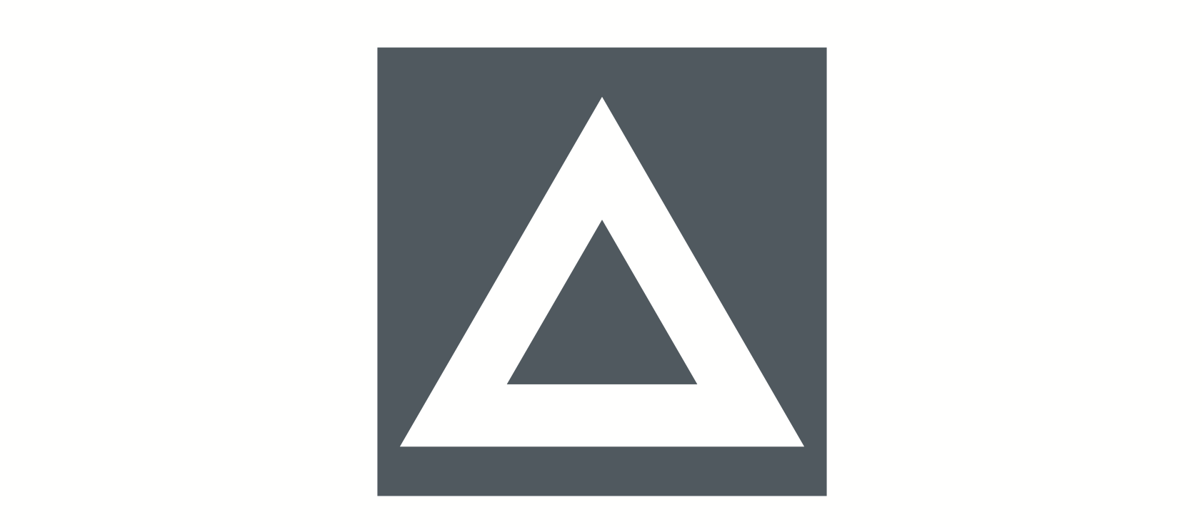 Trudicon Consultancy Services